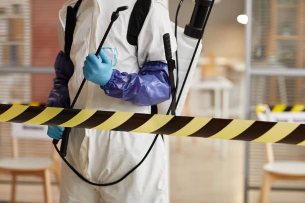 Professional Infectious Disease Decontamination technician working in Telferner, TX